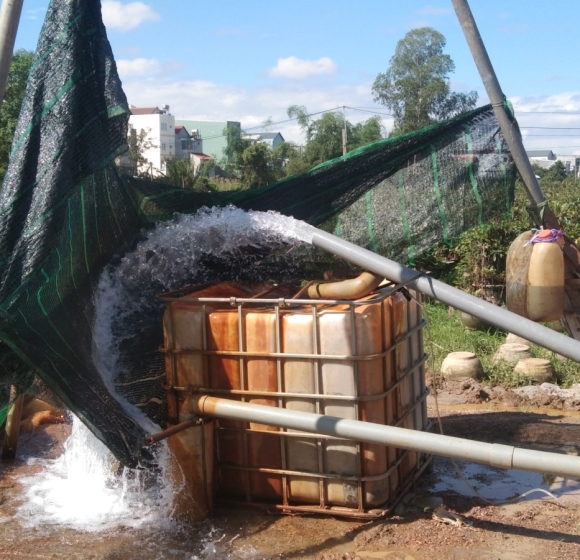 CÔNG TY TNHH TƯ VẤN KIỂM ĐỊNH XD QUI NHƠN